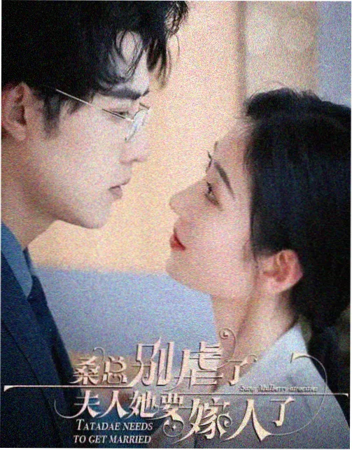 星轨记事簿剧集封面